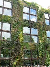 Exterieur musee quai branly 075