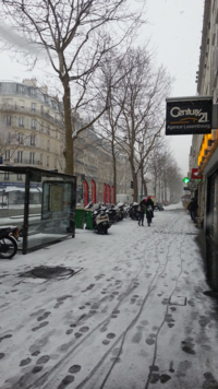 Parisneigemars2013